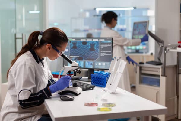 Mitarbeiter untersuchen Proben im Labor